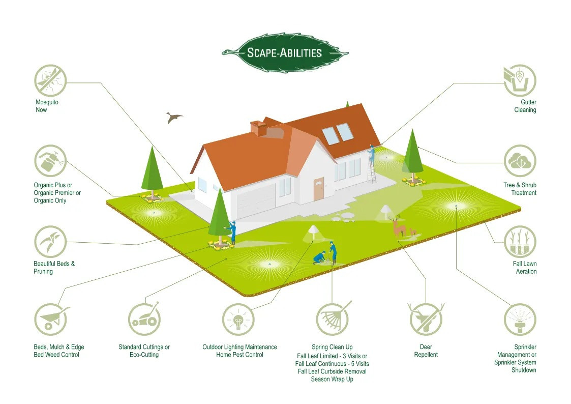 Celebrating 30 Years of Lawn Care Excellence in Scotch Plains