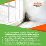 professional-mold-inspection-winter-servpro-pleasanton.jpg