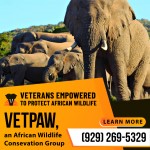 African-Wildlife-Conservation-Group-1.jpg