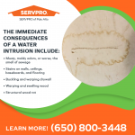 SERVPRO of Palo Alto Graphic 1 (1).png