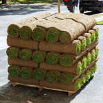 sod roll sizes.jpg