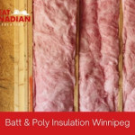 Batt Poly Winnipeg.jpeg