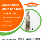 SERVPRO of Carrolton Graphic 5 (1).png