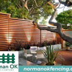 Ornamental Iron Fence