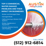 Austin Fire and Flood Graphic 1 (1).png