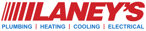 Laney's Inc.