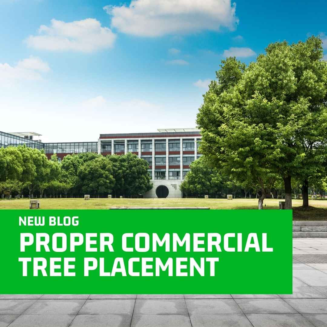 Mayer Tree Service Lincoln Media Room Articles