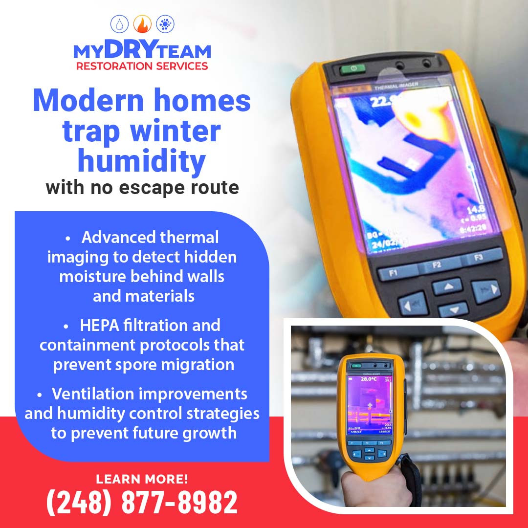 Mold removal in winter