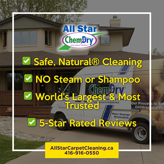 Elevate Your Business with Commercial Carpet Cleaning All Star Chem