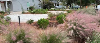Native Plant Installations in Winter Haven, FL