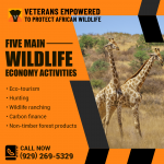 Vetpaw PR Image 2.png