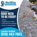 Blue Ribbon Roofing 1 (1).jpg