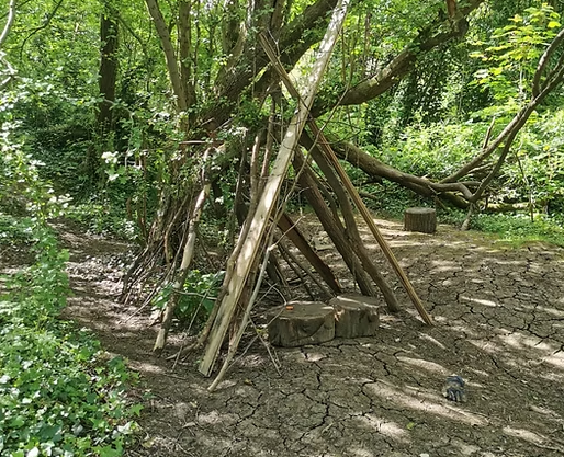 Forest School