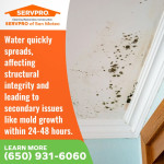 SERVPRO ofSan Mateo 1 (ver 1).jpg