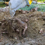 valleycustomtreestump.jpg