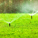 spring startups open sprinklers in the backyard.jpg