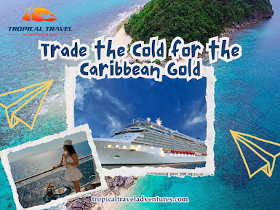  top cruise travel agency in Elk Grove, CA