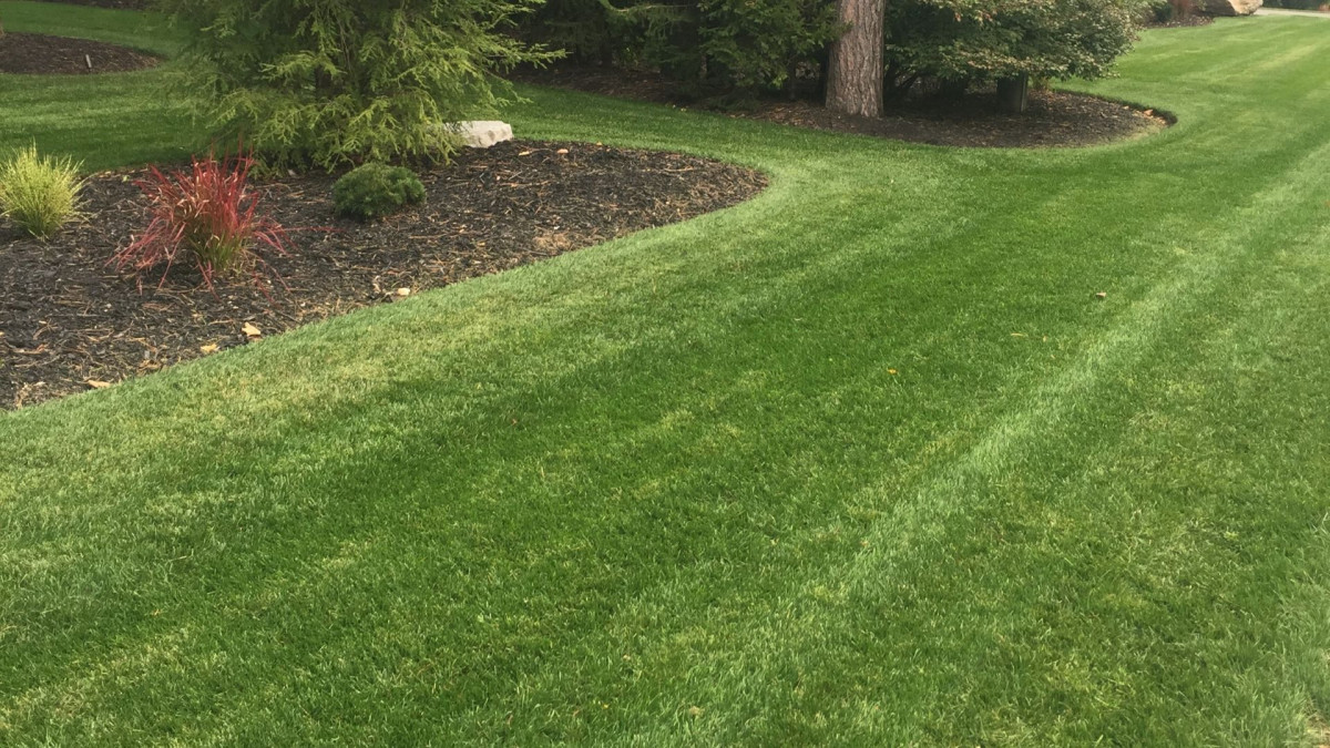 Lawn Mowing in Mississauga