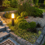 Backyard Garden LED Light Illumination.jpg