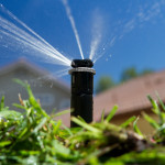 open sprinkler in the backyard.jpg