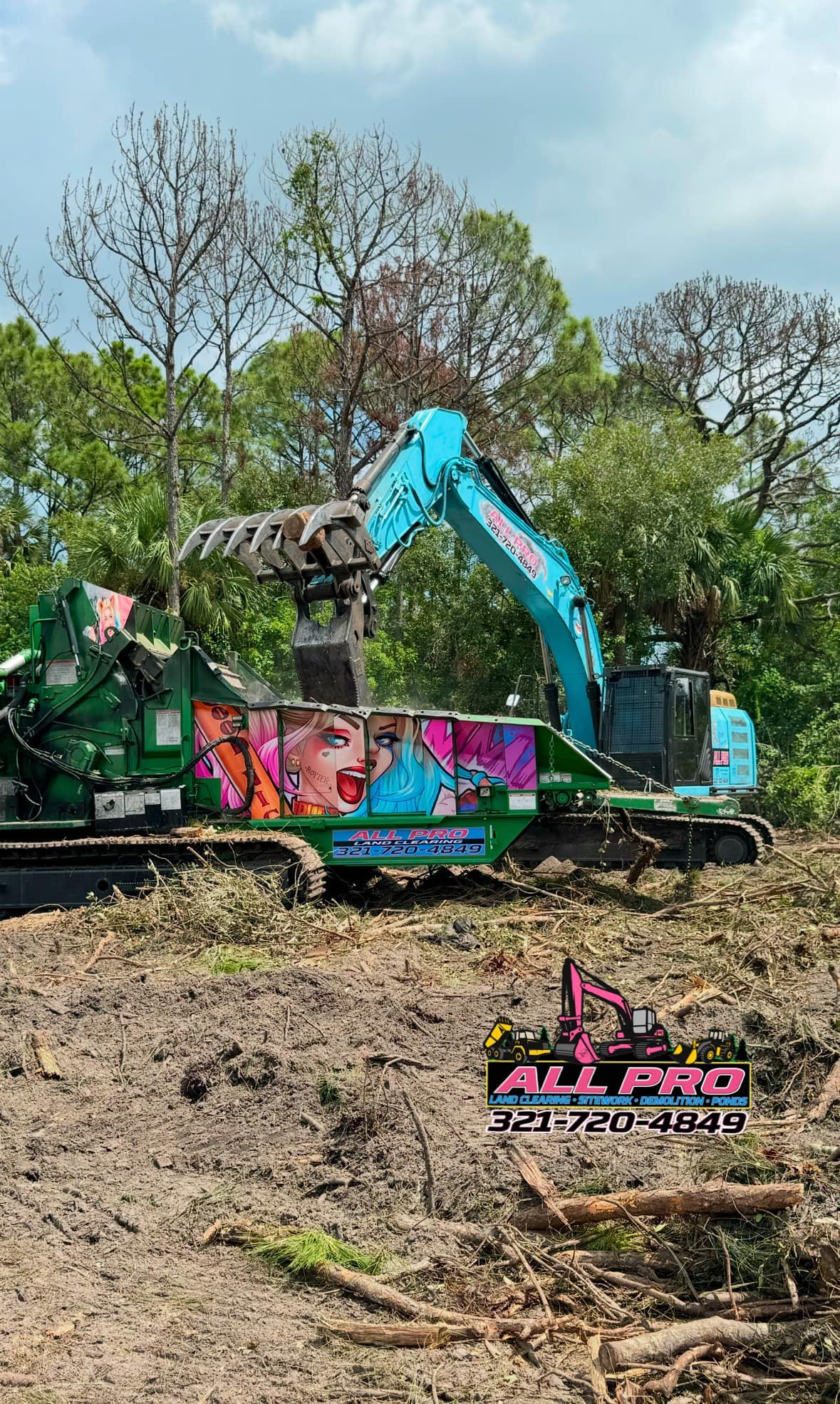 Safe, Professional Tree Removal in Palm Bay, FL