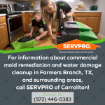 SERVPRO-of-Carrollton-0522-(3).png