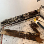 mold-removal-behind-walls.jpeg
