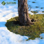 Lawn Care Services in Boise Idaho.jpg