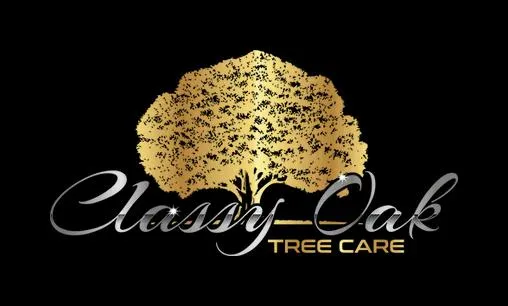 Classy Oak Tree Care