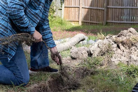 How Do Clogged French Drains or Channel Drains Cause Fall Puddles in Houston Landscape Drainage.jpg