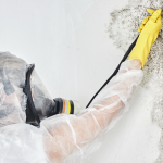 Mold Removal (20).png