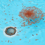 clogged drain.jpg