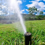 What Are Effective Solutions for Water Pooling Caused by Irrigation Systems in Humble, TX.jpg