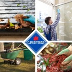Clear Cut Group - Top 4 Tasks Blog Press Release Image.jpg