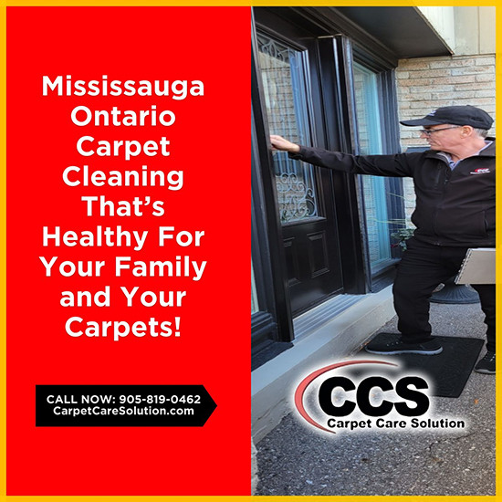 Expert Area Rug Cleaning Services Now Available in Mississauga