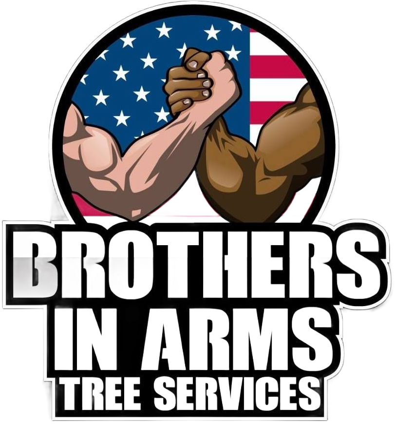 Brothers in Arms Tree Services