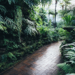 How to Help Plants Thrive 3 - July 2019.png
