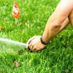 How Smart Sprinklers Saved This Raleigh Family 30% on Their Water Bill.jpg