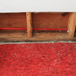 water damage cleanup.png