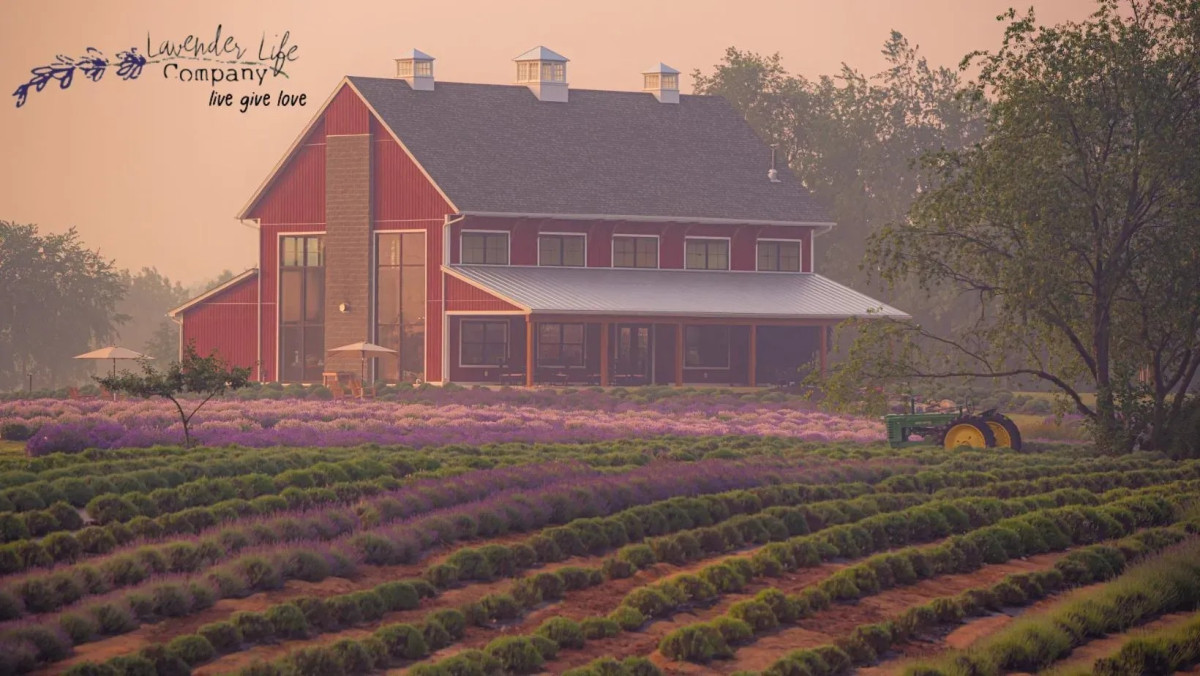 “One Little Boy Couldn’t Sleep. Now 100,000 Children Can.”