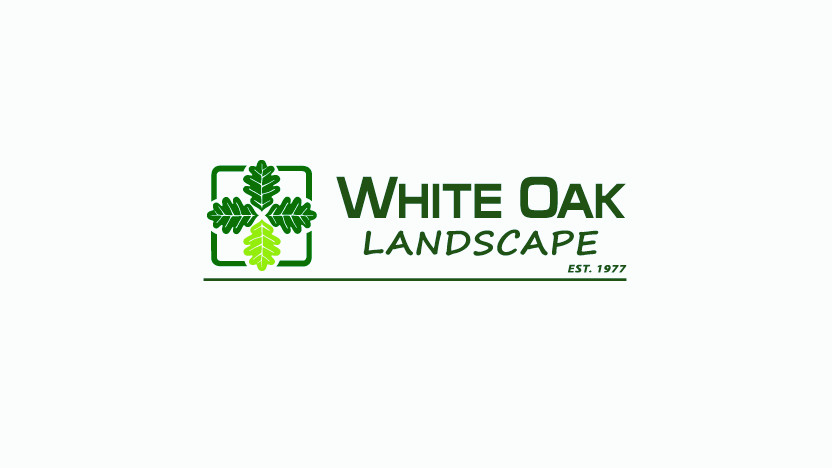 White Oak Landscape