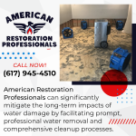 Professional Water Removal and Comprehensive Cleanup Processes.png