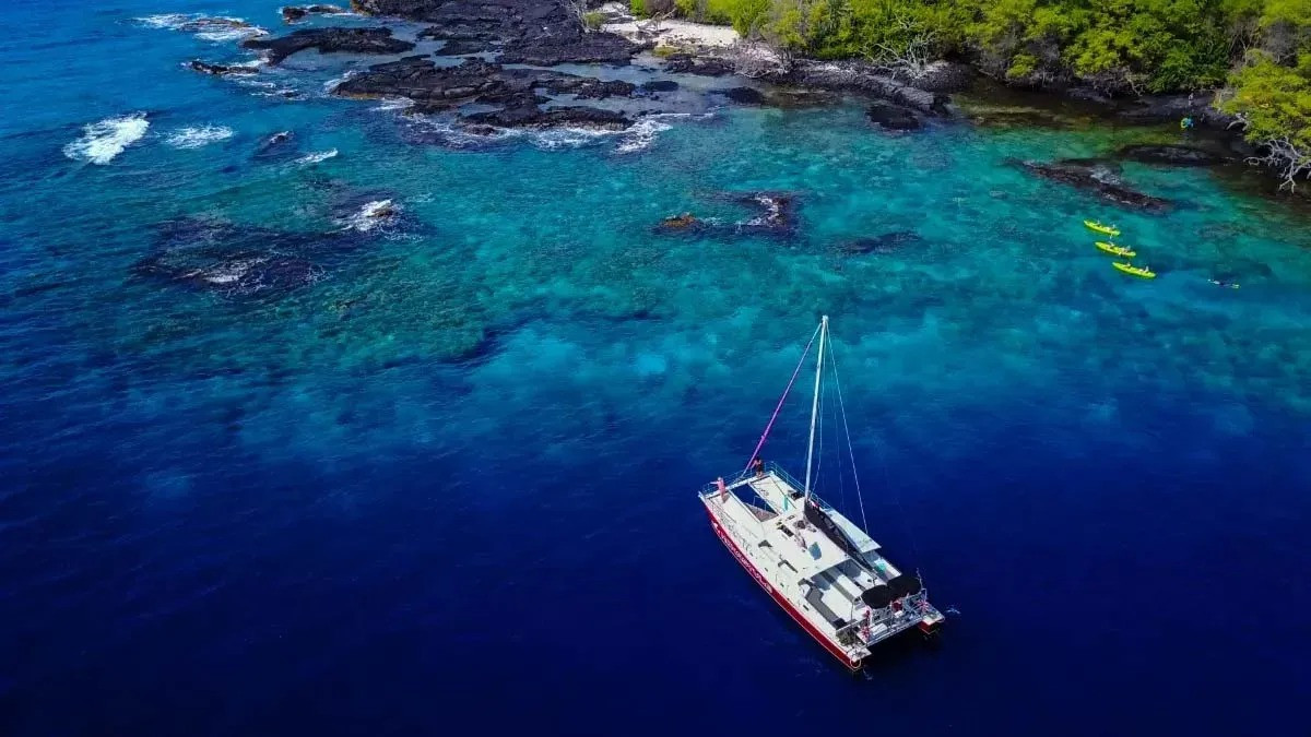 Explore the Underwater Wonders of Kona with Manta Ray Snorkeling
