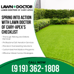 Lawn Doctor 1.png