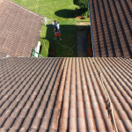 roof cleaning jacksonville.jpg