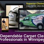 #1 Carpet Cleaning Company Near Winnipeg MB.jpg