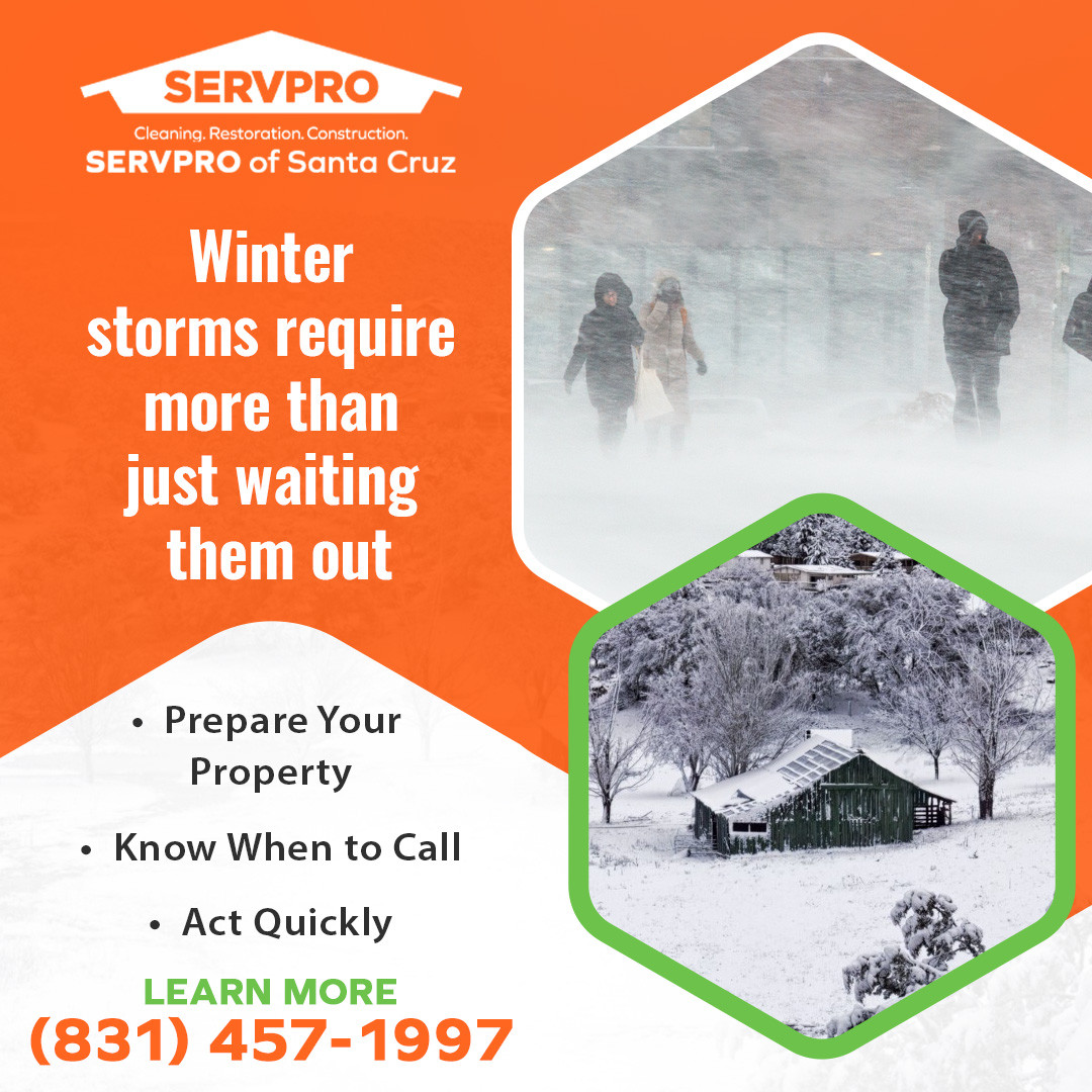 Iamage on Winter Storm