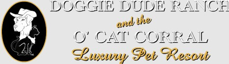 Doggie Dude Ranch and the O'Cat Corral