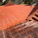 soft wash roof cleaning Jacksonville F.jpg