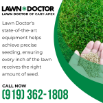 Lawn Doctor 1 (2).png
